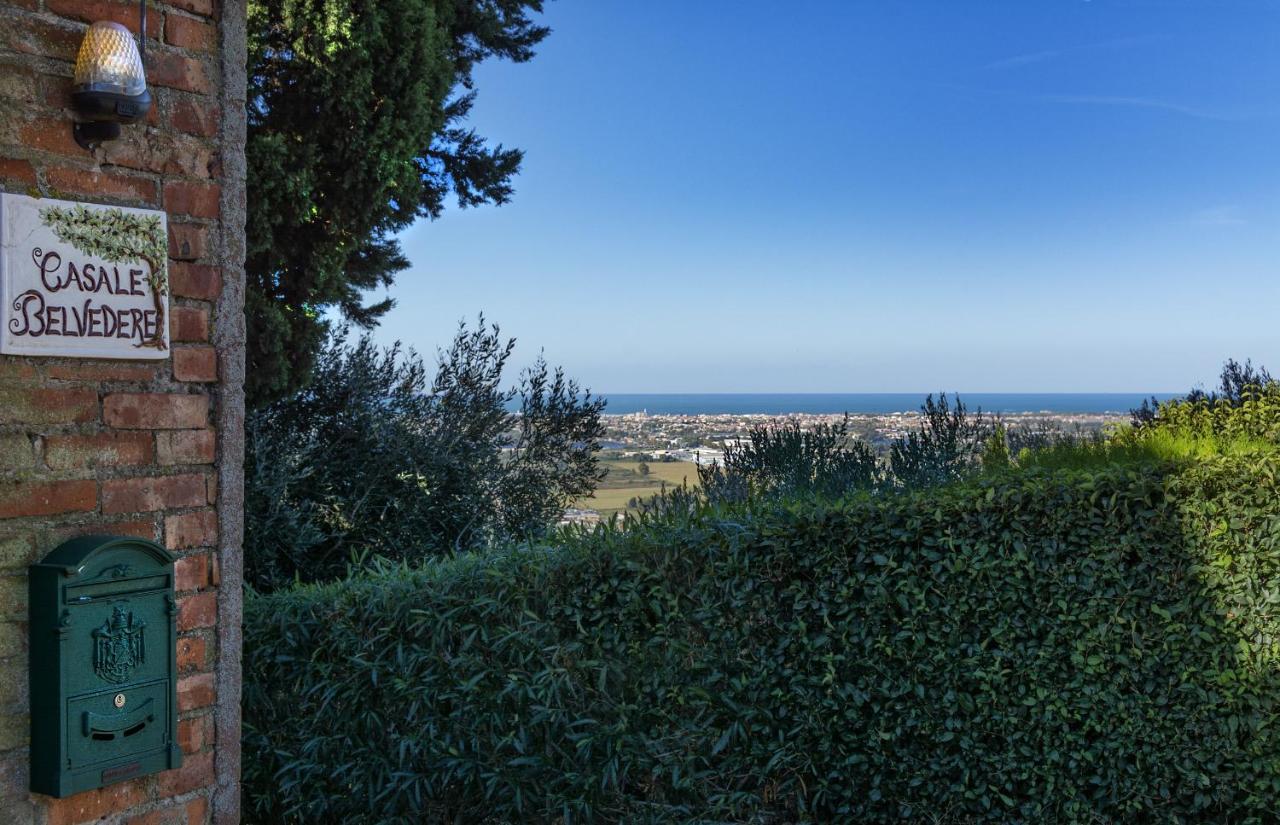 Casale Belvedere "Il Melograno" マッサローザ エクステリア 写真
